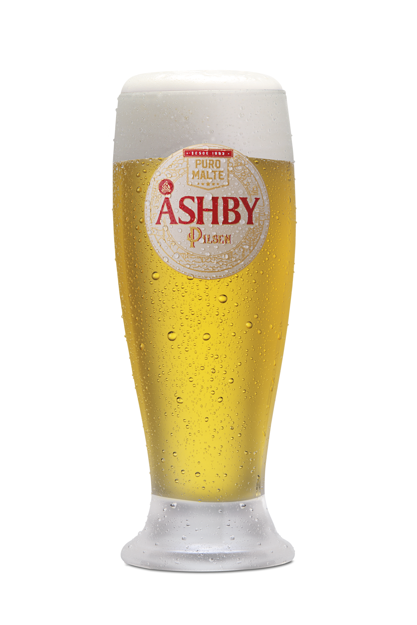 Home tulipa cerveja pilsen